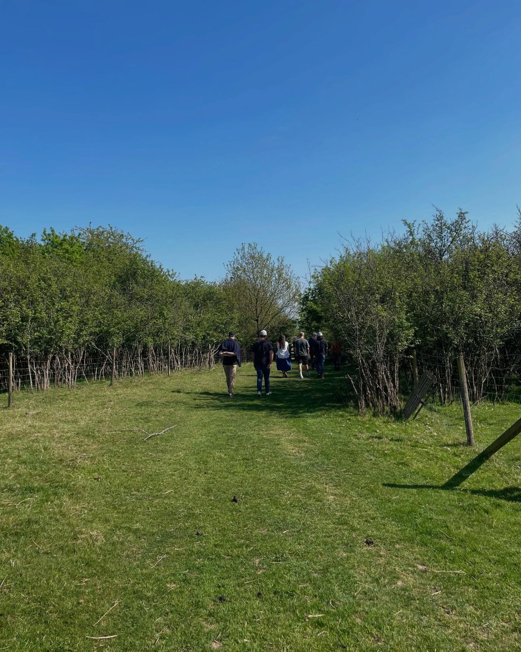 Between Sorrow and Shalom; Forty and Fresh start&nbsp;in-transit