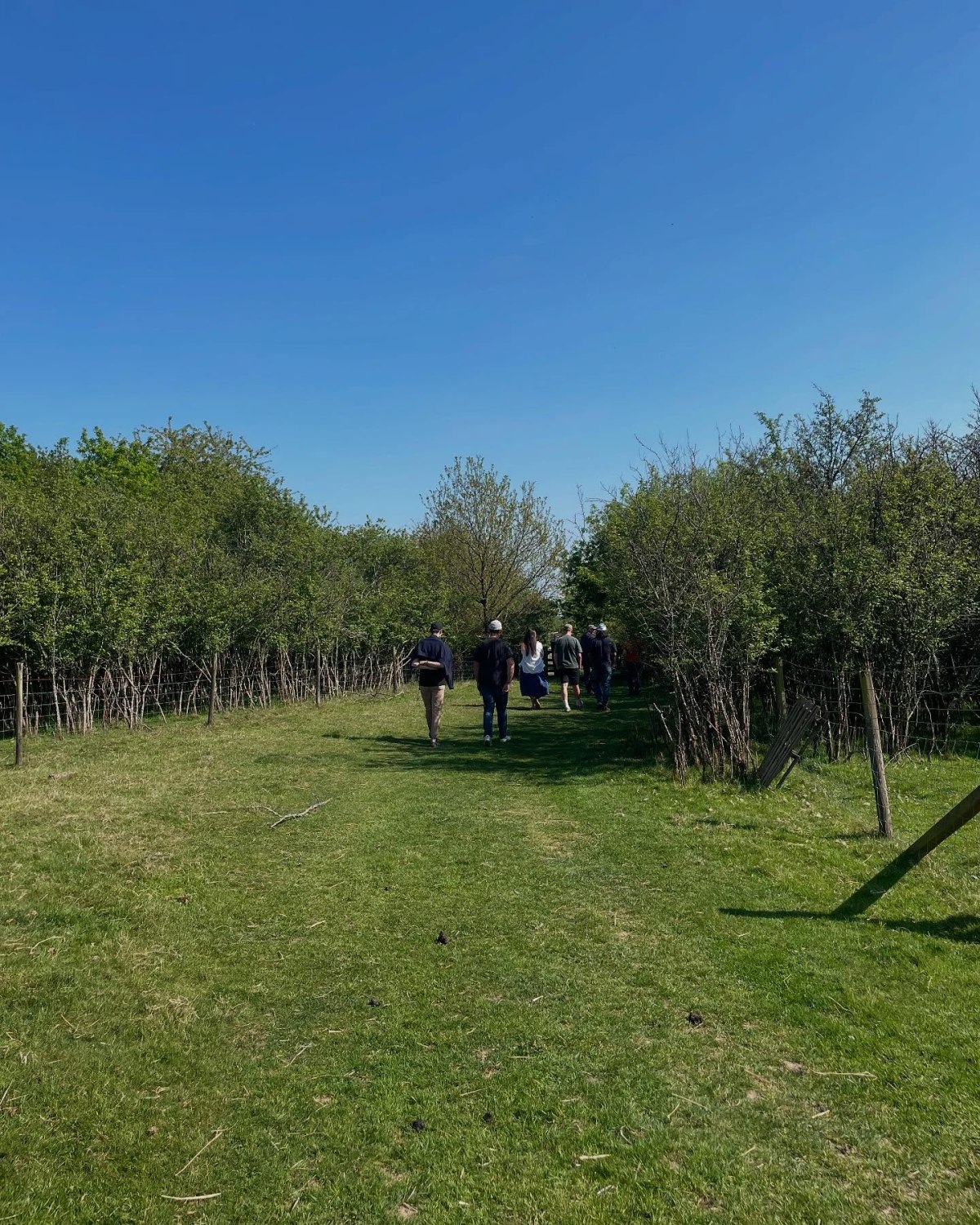 Between Sorrow and Shalom; Forty and Fresh start&nbsp;in-transit